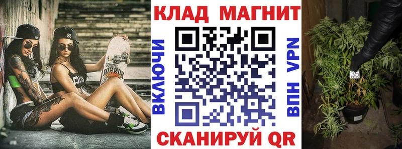 Купить закладку Амфетамин  Каннабис  СК  Меф  Галлюциногенные грибы  ГАШИШ  Грязовец