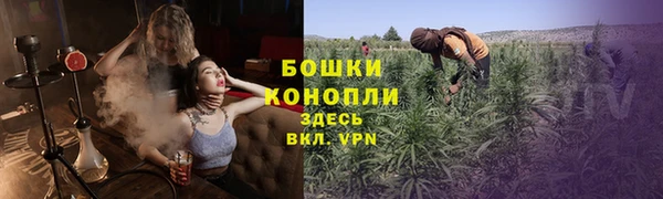 бошки Гусев