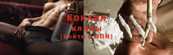 шишки Гусь-Хрустальный
