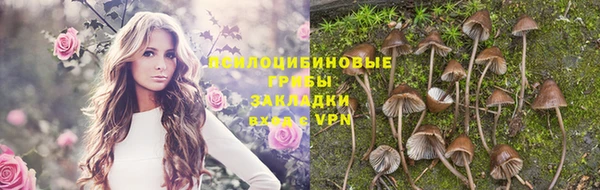 мет Гусиноозёрск