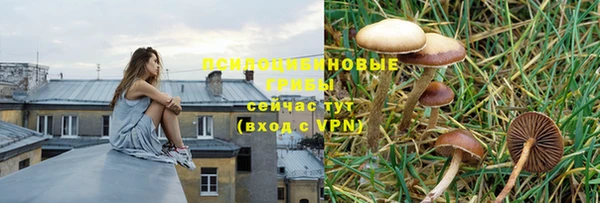 бошки Гусев