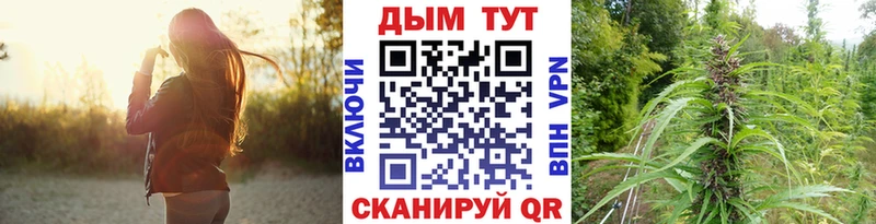 Бошки марихуана Amnesia  Купить закладки  Грязовец 